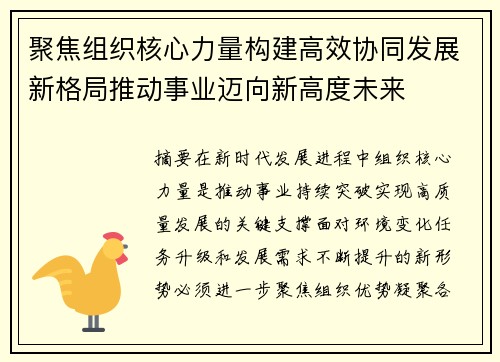 聚焦组织核心力量构建高效协同发展新格局推动事业迈向新高度未来 聚焦组织核心力量构建高效协同发展新格局推动事业迈向新高度未来